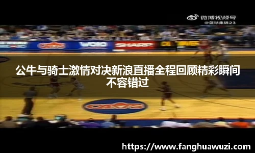 公牛与骑士激情对决新浪直播全程回顾精彩瞬间不容错过