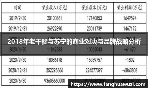 2018年老干爹与苏宁的商业对决与品牌战略分析
